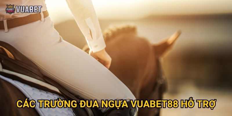 Các trường đua ngựa Vuabet88 hỗ trợ