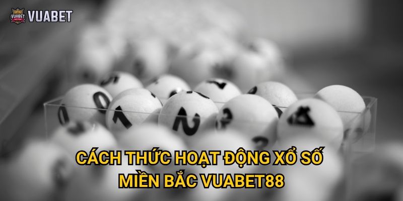 Cách thức hoạt động xổ số miền Bắc Vuabet88
