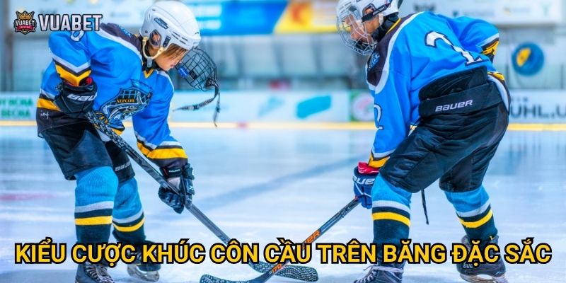 Cược khúc côn cầu trên băng tại Vuabet88 có gì thú vị? 3 Kiểu cược khúc côn cầu trên băng đặc sắc