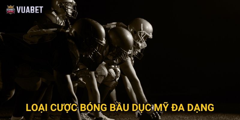 Loại cược bóng bầu dục Mỹ đa dạng